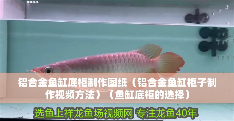 鋁合金魚缸底柜制作圖紙（鋁合金魚缸柜子制作視頻方法）（魚缸底柜的選擇）