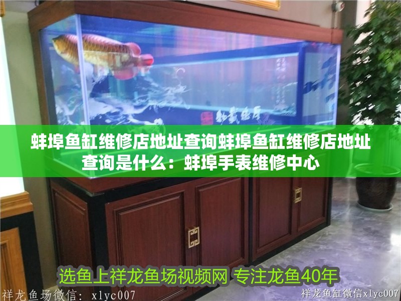 蚌埠魚缸維修店地址查詢蚌埠魚缸維修店地址查詢是什么：蚌埠手表維修中心