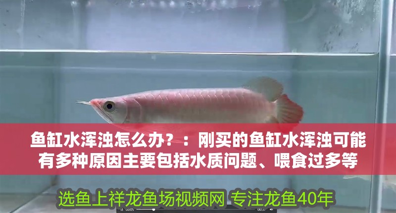 魚缸水渾濁怎么辦？：剛買的魚缸水渾濁可能有多種原因主要包括水質問題、喂食過多等