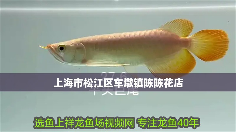 上海市松江區(qū)車墩鎮(zhèn)陳陳花店