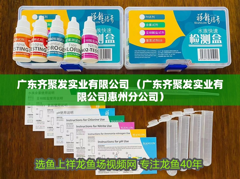 廣東齊聚發實業有限公司 （廣東齊聚發實業有限公司惠州分公司）