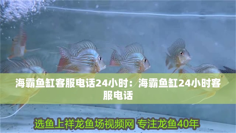 海霸魚缸客服電話24小時：海霸魚缸24小時客服電話