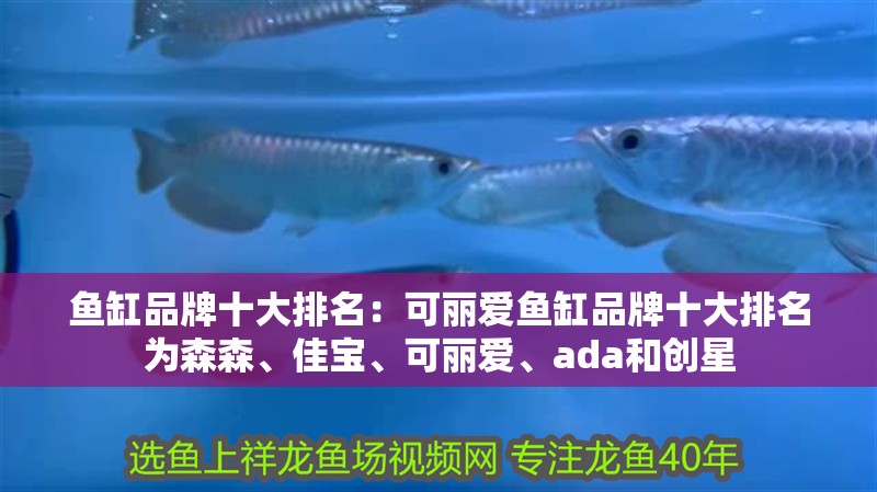 魚(yú)缸品牌十大排名：可麗愛(ài)魚(yú)缸品牌十大排名為森森、佳寶、可麗愛(ài)、ada和創(chuàng)星