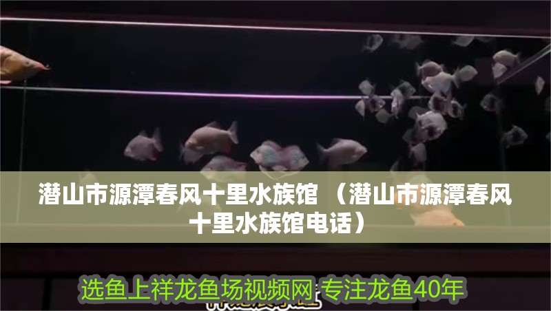 潛山市源潭春風十里水族館 （潛山市源潭春風十里水族館電話）