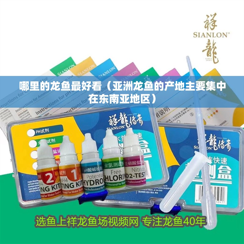 哪里的龍魚最好看（亞洲龍魚的產地主要集中在東南亞地區）
