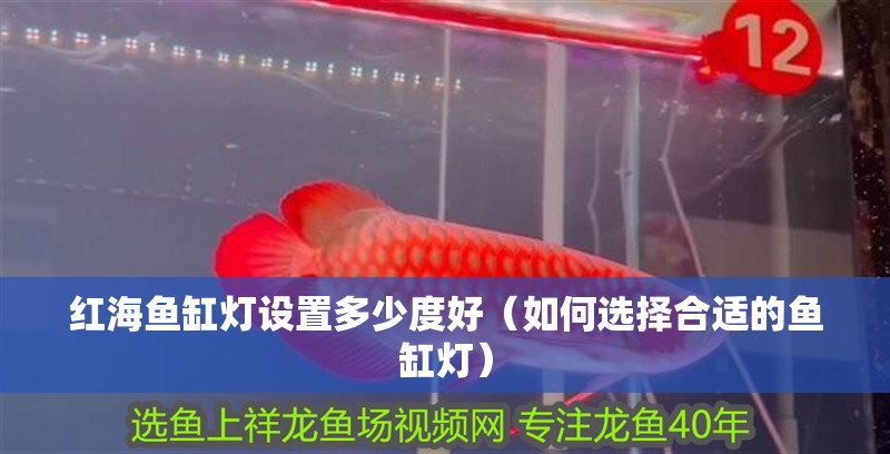 紅海魚缸燈設置多少度好（如何選擇合適的魚缸燈）