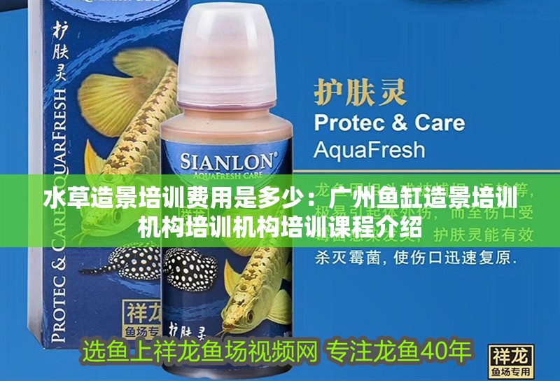 水草造景培訓費用是多少：廣州魚缸造景培訓機構培訓機構培訓課程介紹