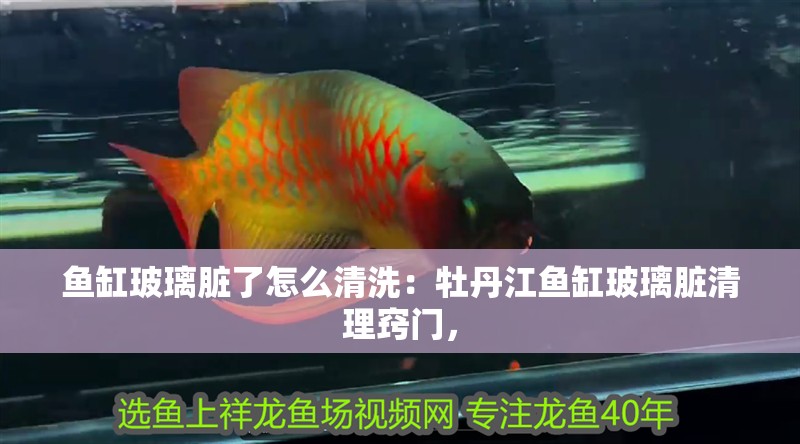 魚(yú)缸玻璃臟了怎么清洗：牡丹江魚(yú)缸玻璃臟清理竅門(mén)，
