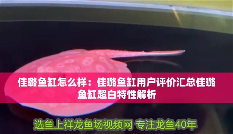 佳璐魚缸怎么樣：佳璐魚缸用戶評價匯總佳璐魚缸超白特性解析