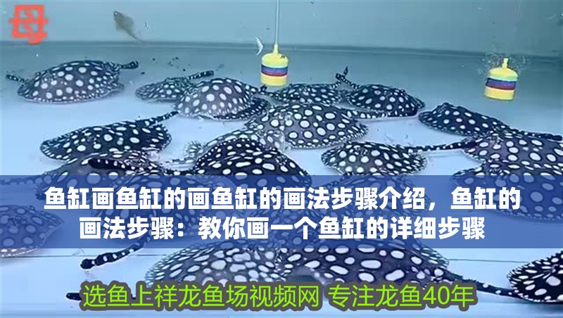 魚缸畫魚缸的畫魚缸的畫法步驟介紹，魚缸的畫法步驟：教你畫一個魚缸的詳細步驟