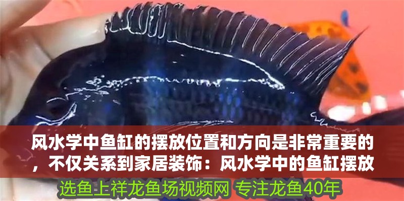 風水學中魚缸的擺放位置和方向是非常重要的，不僅關系到家居裝飾：風水學中的魚缸擺放位置和方向