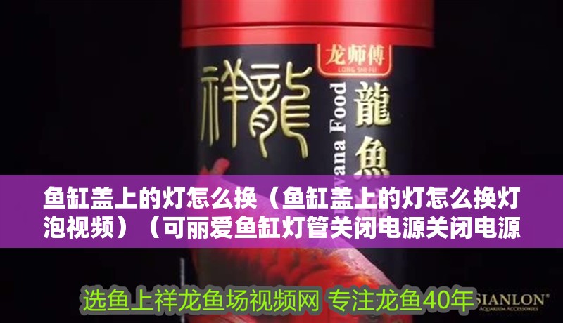 魚缸用增氧泵價格是多少:魚缸增氧機-xtrac增氧機-xtrac增氧機 魚缸蓋上的燈怎么換(魚缸蓋上的燈怎么換燈泡視頻)(可麗愛魚缸燈管關閉電源關閉電源,魚缸燈光一天可以不開燈) 魚缸百科 魚缸蓋上的燈怎么換(魚缸蓋上的燈怎么換燈泡視頻)(可麗愛魚缸燈管關閉電源關閉電源,魚缸燈光一天可以不開燈) 魚缸蓋上的燈怎么換(魚缸蓋上的燈怎么換燈泡視頻)(可麗愛魚缸燈管關閉電源關閉電源,魚缸燈光一天可以不開燈) 魚缸百科