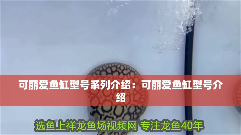 可麗愛魚缸型號系列介紹：可麗愛魚缸型號介紹