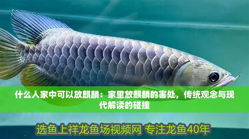 什么人家中可以放麒麟：家里放麒麟的害處，傳統觀念與現代解讀的碰撞