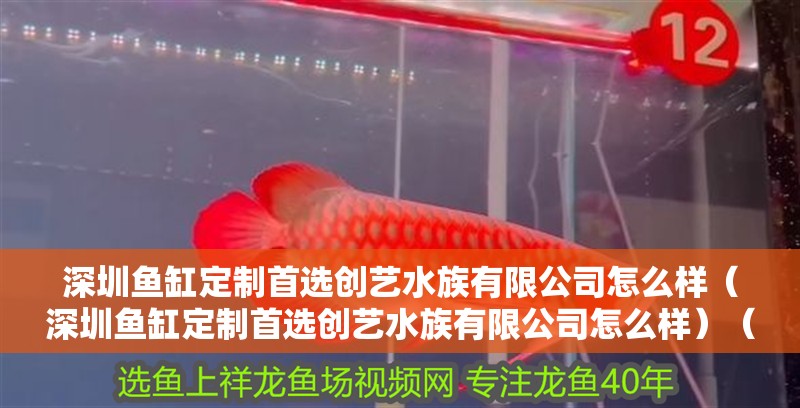 深圳魚缸定制首選創藝水族有限公司怎么樣（深圳魚缸定制首選創藝水族有限公司怎么樣）（深圳市東偉創藝實業有限公司（深圳市東偉創藝實業有限公司））