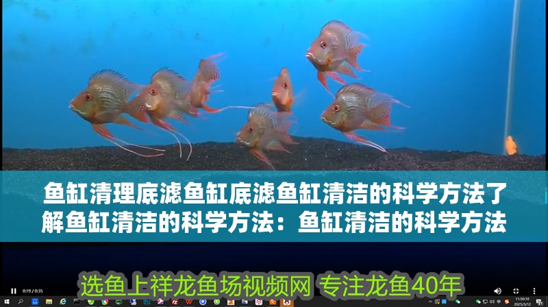 魚缸用增氧泵價格是多少:魚缸增氧機-xtrac增氧機-xtrac增氧機 魚缸清理底濾魚缸底濾魚缸清潔的科學方法了解魚缸清潔的科學方法:魚缸清潔的科學方法 魚缸百科 魚缸清理底濾魚缸底濾魚缸清潔的科學方法了解魚缸清潔的科學方法:魚缸清潔的科學方法 魚缸清理底濾魚缸底濾魚缸清潔的科學方法了解魚缸清潔的科學方法:魚缸清潔的科學方法 魚缸百科