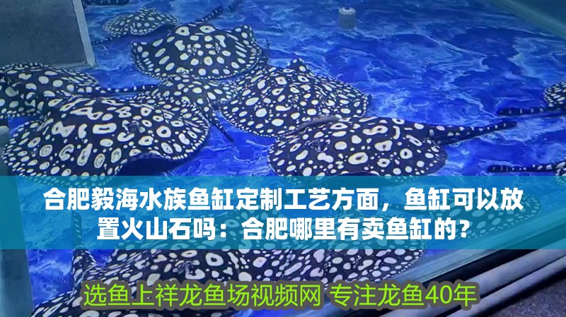 合肥毅海水族魚缸定制工藝方面，魚缸可以放置火山石嗎：合肥哪里有賣魚缸的？