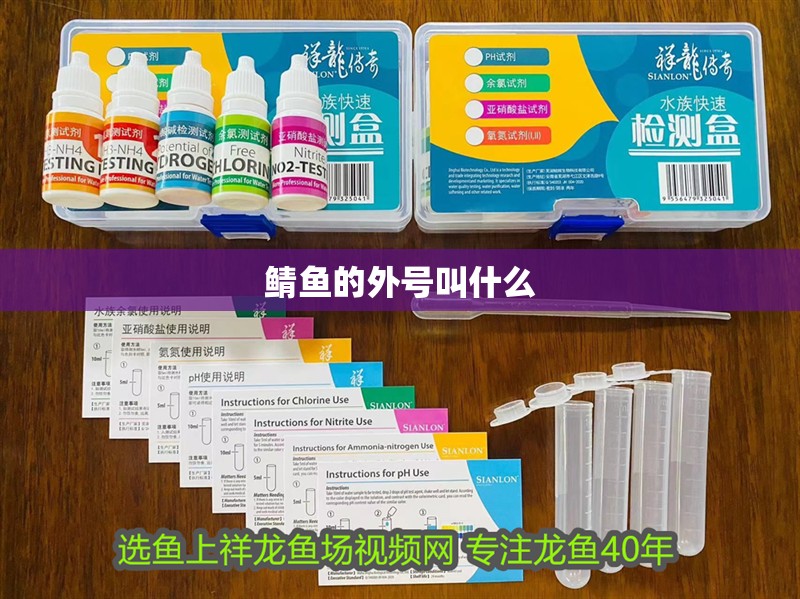 鯖魚的外號叫什么