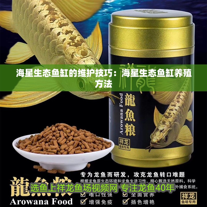 海星生態(tài)魚缸的維護技巧：海星生態(tài)魚缸養(yǎng)殖方法