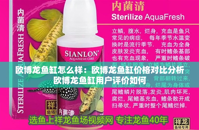 歐博龍魚缸怎么樣：歐博龍魚缸價格對比分析歐博龍魚缸用戶評價如何