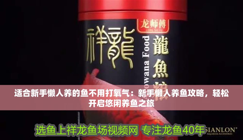 適合新手懶人養的魚不用打氧氣：新手懶人養魚攻略，輕松開啟悠閑養魚之旅