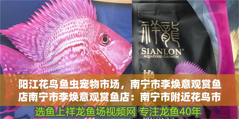 陽江花鳥魚蟲寵物市場，南寧市李煥意觀賞魚店南寧市李煥意觀賞魚店：南寧市附近花鳥市場哪里有