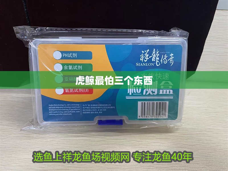 虎鯨最怕三個東西