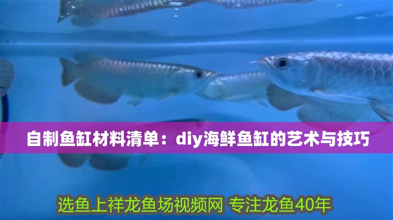 自制魚缸材料清單：diy海鮮魚缸的藝術與技巧