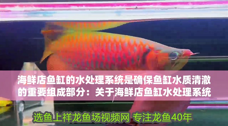 海鮮店魚缸的水處理系統是確保魚缸水質清澈的重要組成部分：關于海鮮店魚缸水處理系統的相關信息
