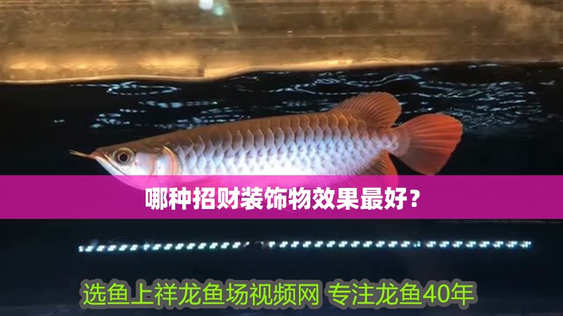 哪種招財裝飾物效果最好？