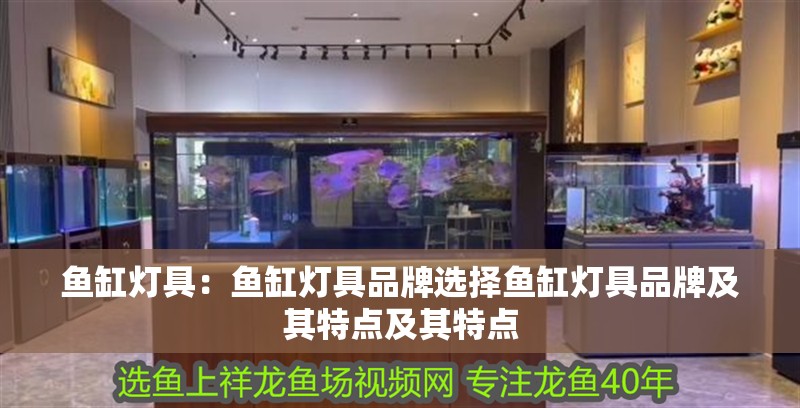 魚缸燈具：魚缸燈具品牌選擇魚缸燈具品牌及其特點及其特點