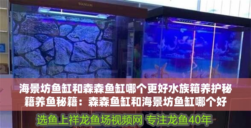 海景坊魚缸和森森魚缸哪個更好水族箱養護秘籍養魚秘籍：森森魚缸和海景坊魚缸哪個好