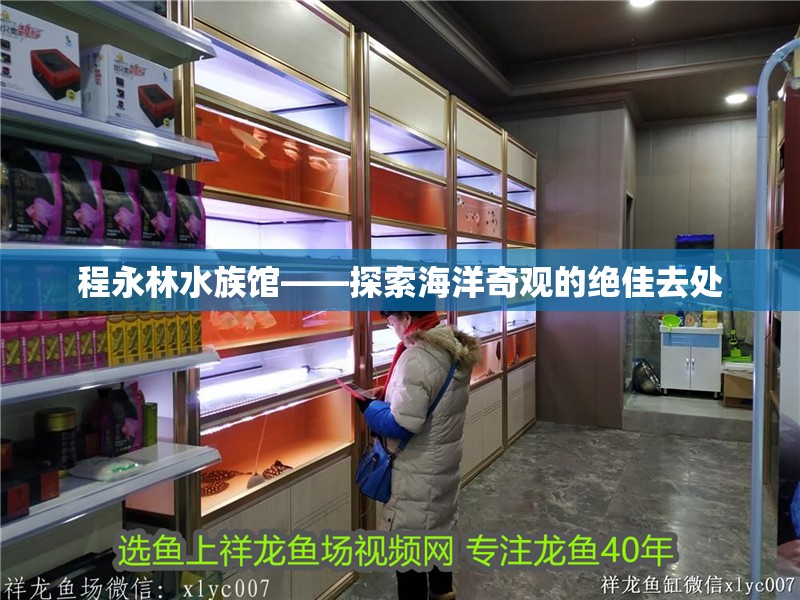 程永林水族館——探索海洋奇觀的絕佳去處