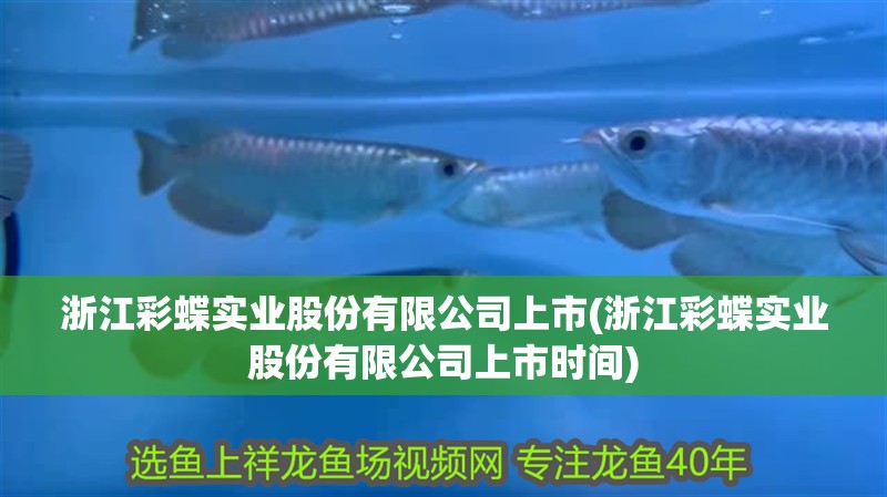 浙江彩蝶實業股份有限公司上市(浙江彩蝶實業股份有限公司上市時間)