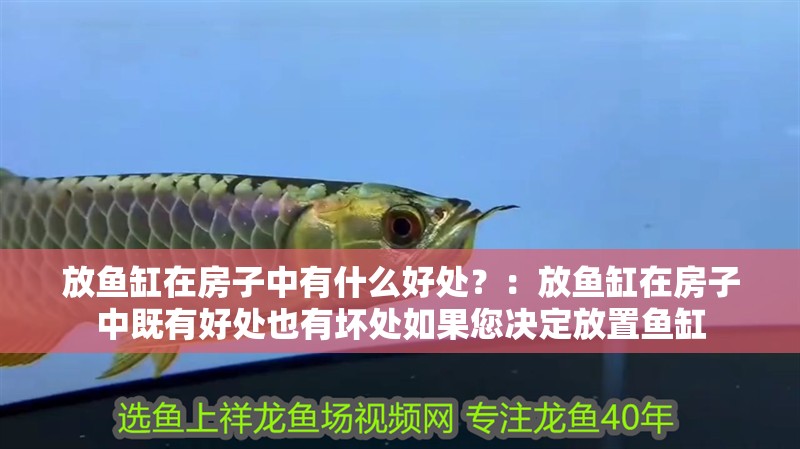 放魚缸在房子中有什么好處？：放魚缸在房子中既有好處也有壞處如果您決定放置魚缸