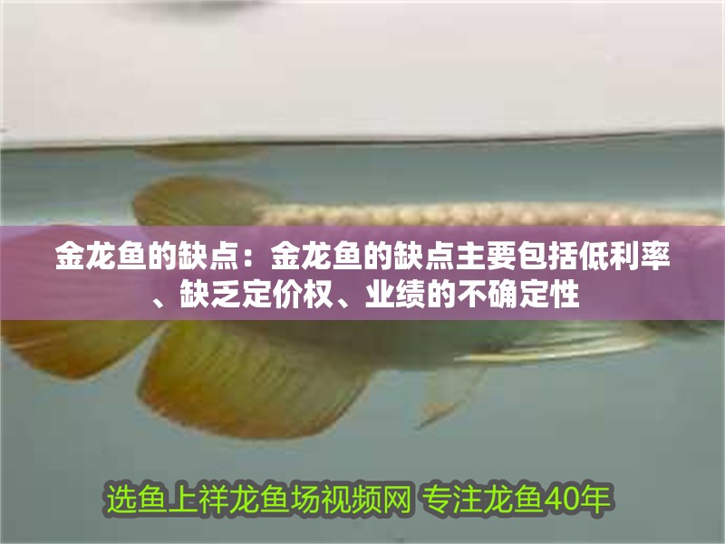 金龍魚的缺點：金龍魚的缺點主要包括低利率、缺乏定價權(quán)、業(yè)績的不確定性