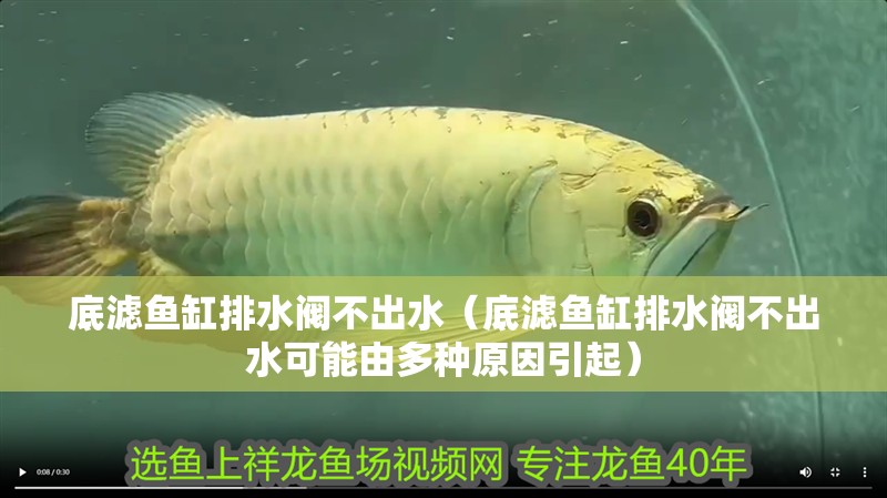 底濾魚缸排水閥不出水（底濾魚缸排水閥不出水可能由多種原因引起）