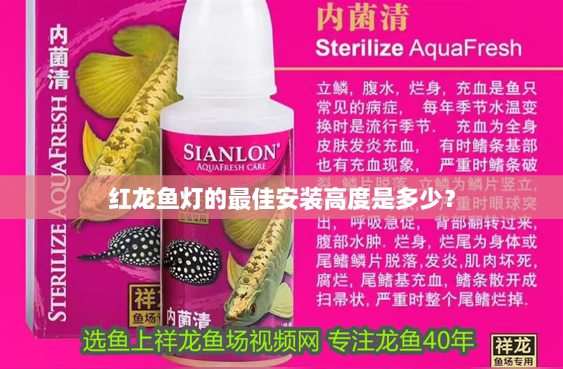 紅龍魚燈的最佳安裝高度是多少？