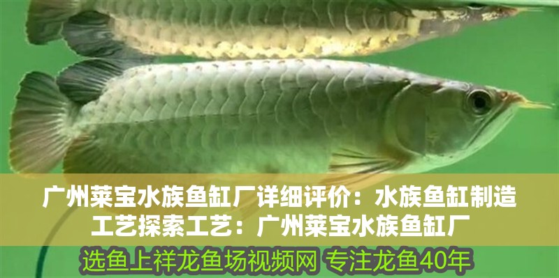 廣州萊寶水族魚缸廠詳細評價：水族魚缸制造工藝探索工藝：廣州萊寶水族魚缸廠