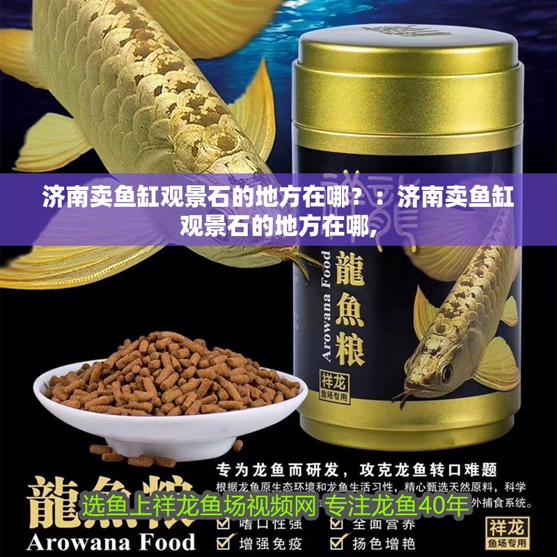 濟南賣魚缸觀景石的地方在哪？：濟南賣魚缸觀景石的地方在哪,