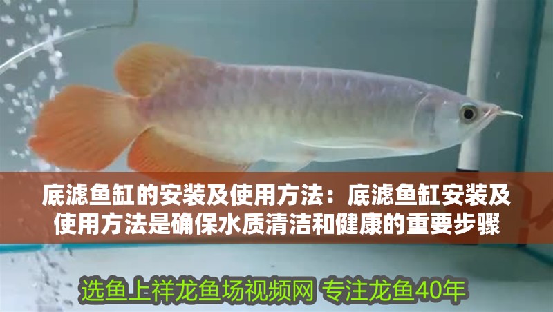 底濾魚缸的安裝及使用方法：底濾魚缸安裝及使用方法是確保水質清潔和健康的重要步驟