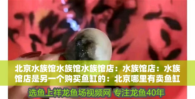 北京水族館水族館水族館店：水族館店：水族館店是另一個購買魚缸的：北京哪里有賣魚缸的地方？
