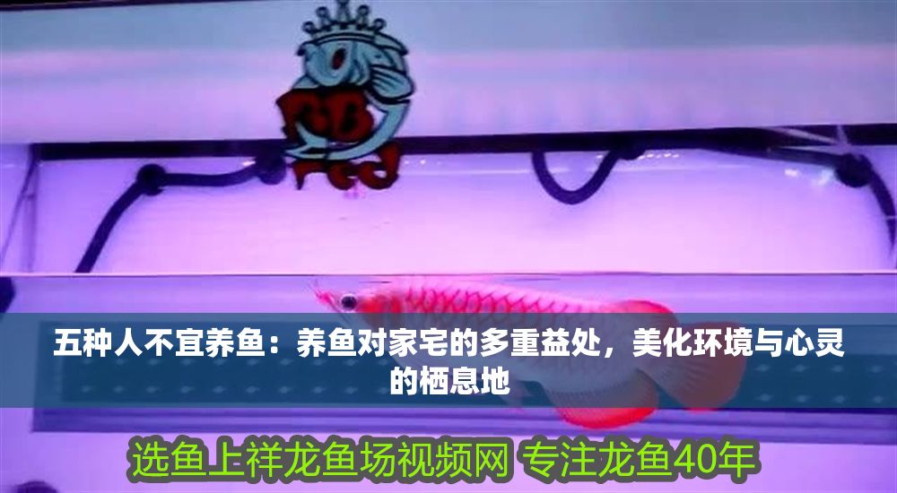 詳細(xì)閱讀:五種人不宜養(yǎng)魚:養(yǎng)魚對家宅的多重益處,美化環(huán)境與心靈的棲息地 五種人不宜養(yǎng)魚:養(yǎng)魚對家宅的多重益處,美化環(huán)境與心靈的棲息地