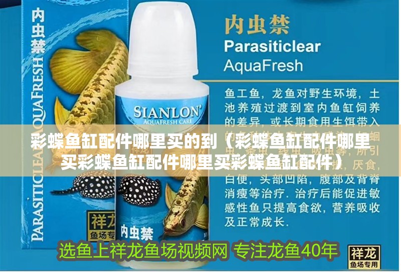 彩蝶魚缸配件哪里買的到（彩蝶魚缸配件哪里買彩蝶魚缸配件哪里買彩蝶魚缸配件）