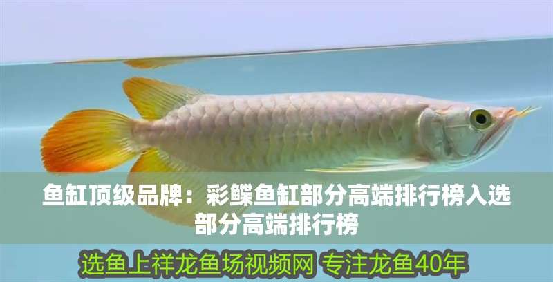 魚缸頂級品牌：彩鰈魚缸部分高端排行榜入選部分高端排行榜