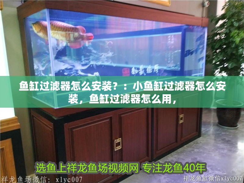 魚缸過濾器怎么安裝？：小魚缸過濾器怎么安裝，魚缸過濾器怎么用，