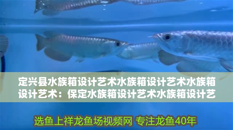 定興縣水族箱設(shè)計(jì)藝術(shù)水族箱設(shè)計(jì)藝術(shù)水族箱設(shè)計(jì)藝術(shù)：保定水族箱設(shè)計(jì)藝術(shù)水族箱設(shè)計(jì)藝術(shù)水族箱設(shè)計(jì)藝術(shù)活