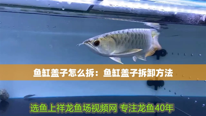 魚缸蓋子怎么拆：魚缸蓋子拆卸方法
