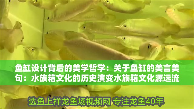 魚缸設(shè)計(jì)背后的美學(xué)哲學(xué)：關(guān)于魚缸的美言美句：水族箱文化的歷史演變水族箱文化源遠(yuǎn)流長