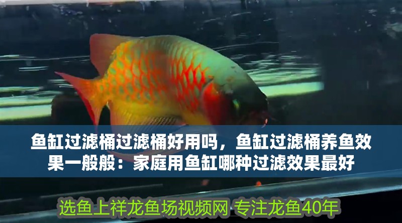 魚缸過濾桶過濾桶好用嗎，魚缸過濾桶養魚效果一般般：家庭用魚缸哪種過濾效果最好